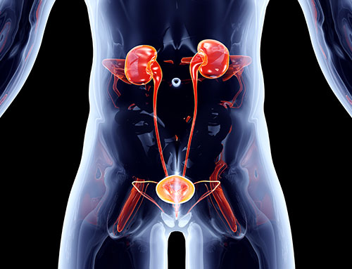 urinary tract infection in men